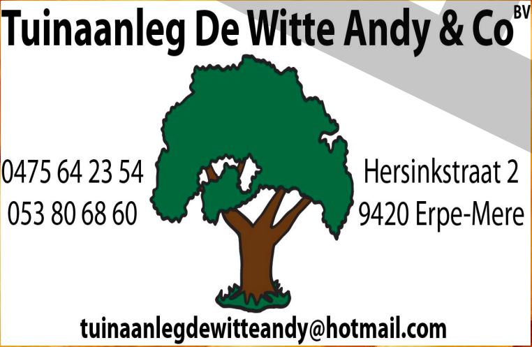 andy de witte