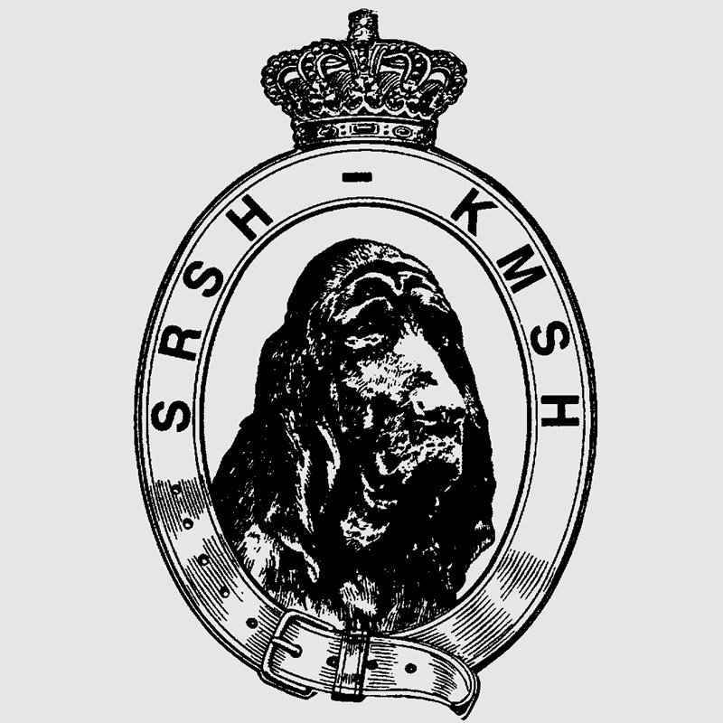KMSH Sint-Hubertus logo